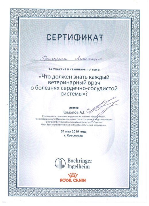 Документ или сертификат