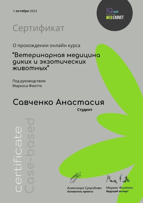 Документ или сертификат