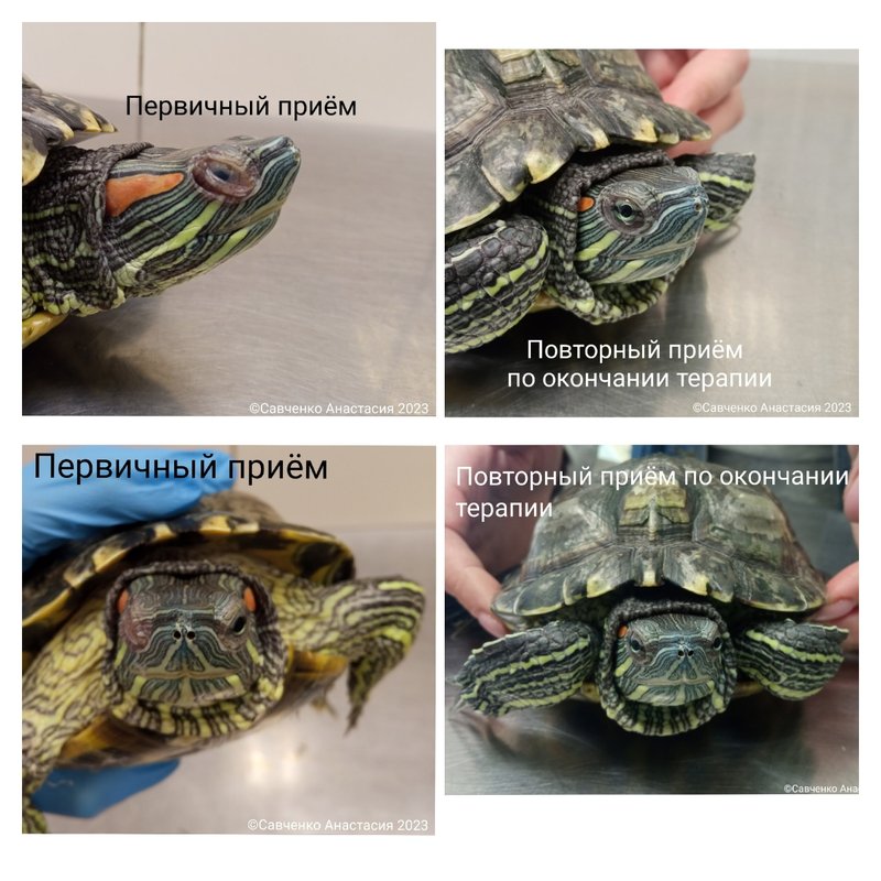 Фото врача