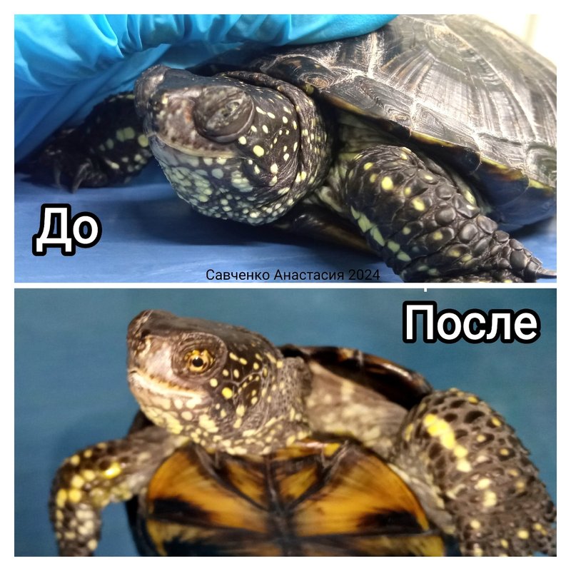 Фото врача