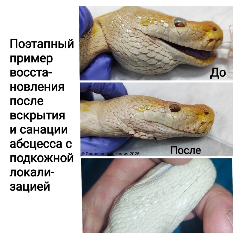 Фото врача