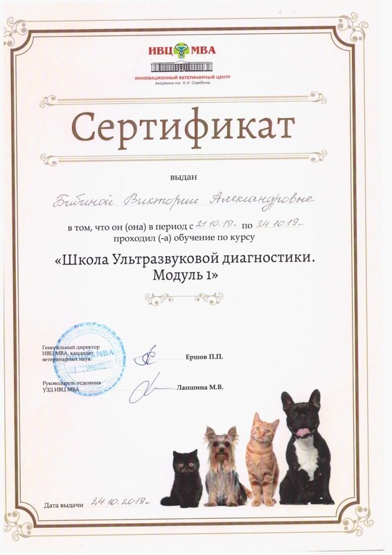 Документ или сертификат