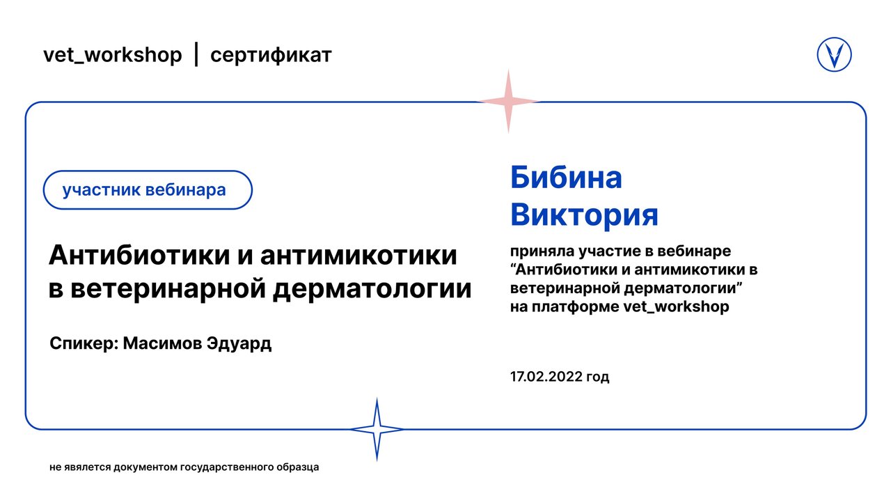 Документ или сертификат