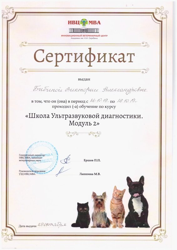 Документ или сертификат