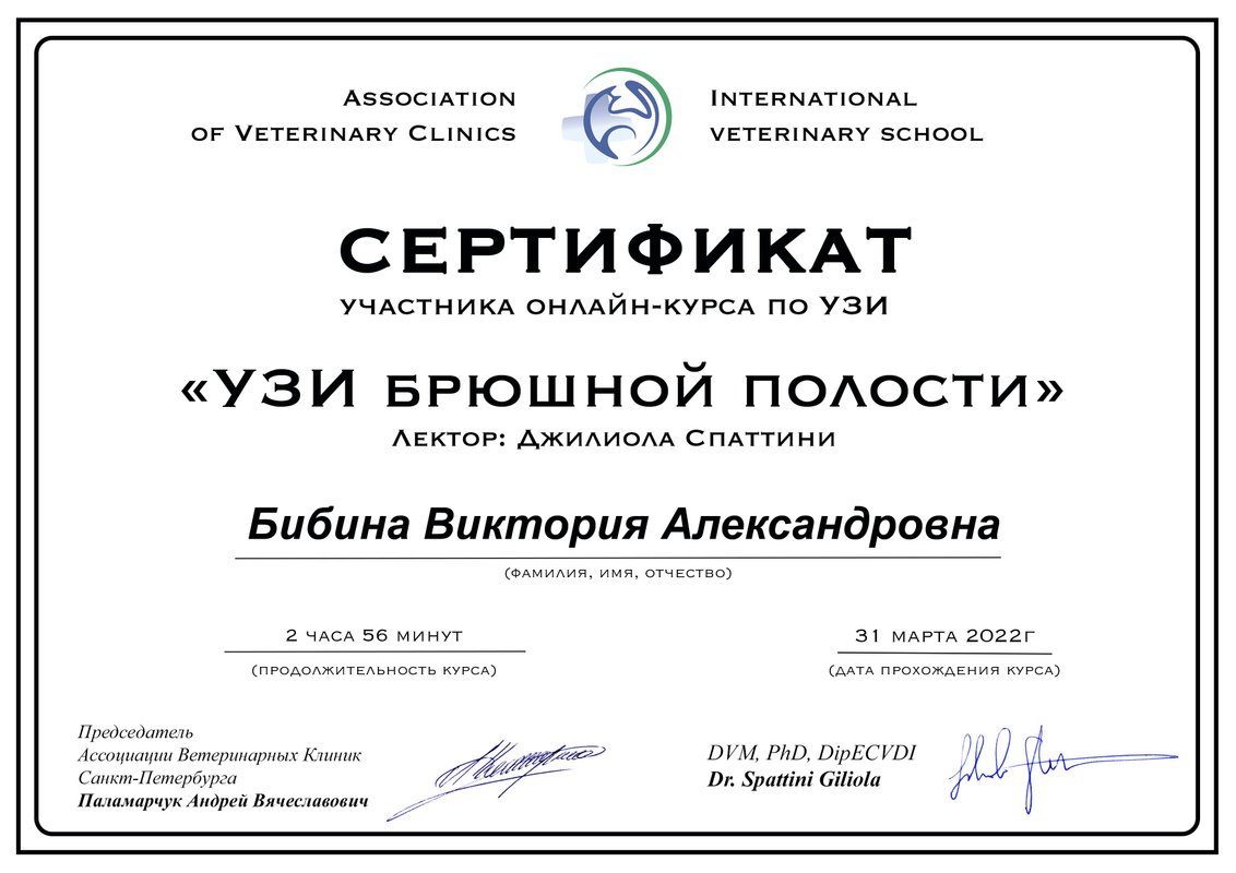 Документ или сертификат