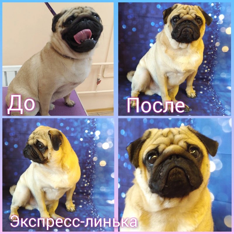 Фото врача