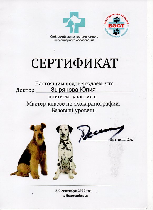 Документ или сертификат