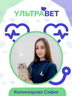 Фото врача Коломзарова София Валерьевна