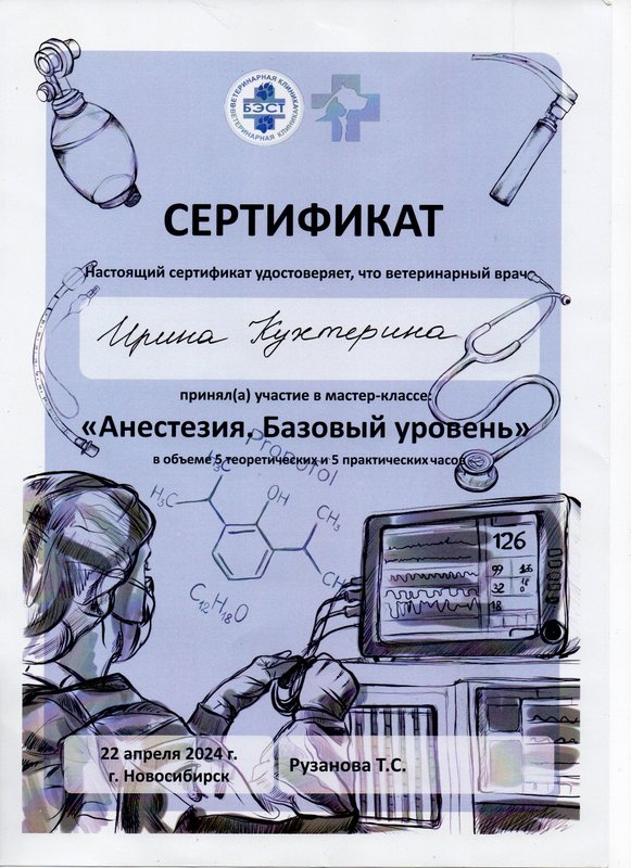 Документ или сертификат