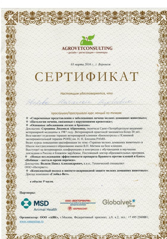 Документ или сертификат