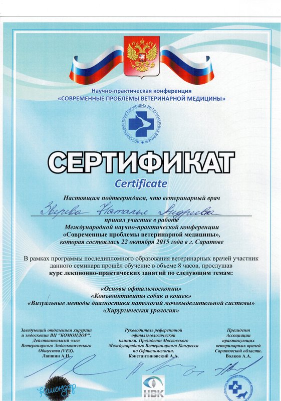 Документ или сертификат