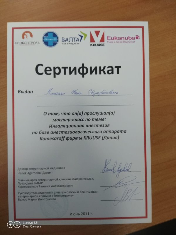 Документ или сертификат