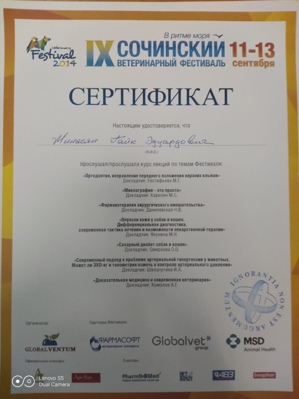 Документ или сертификат