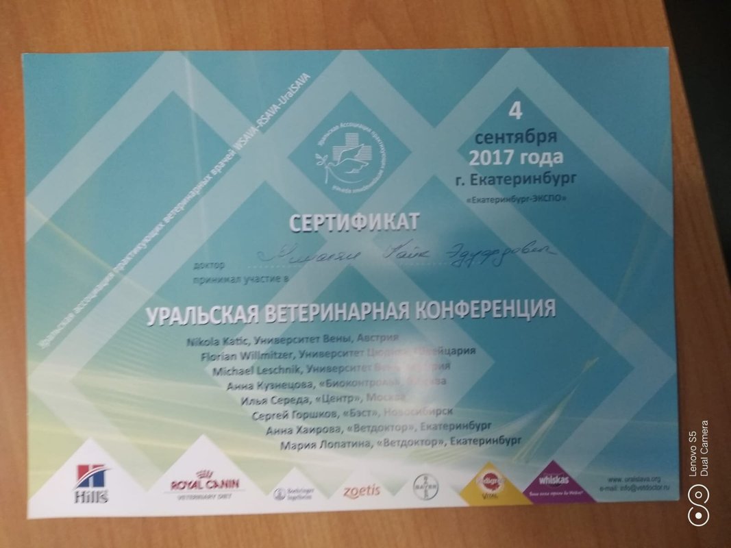 Документ или сертификат