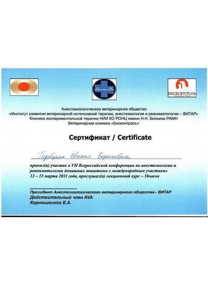 Документ или сертификат