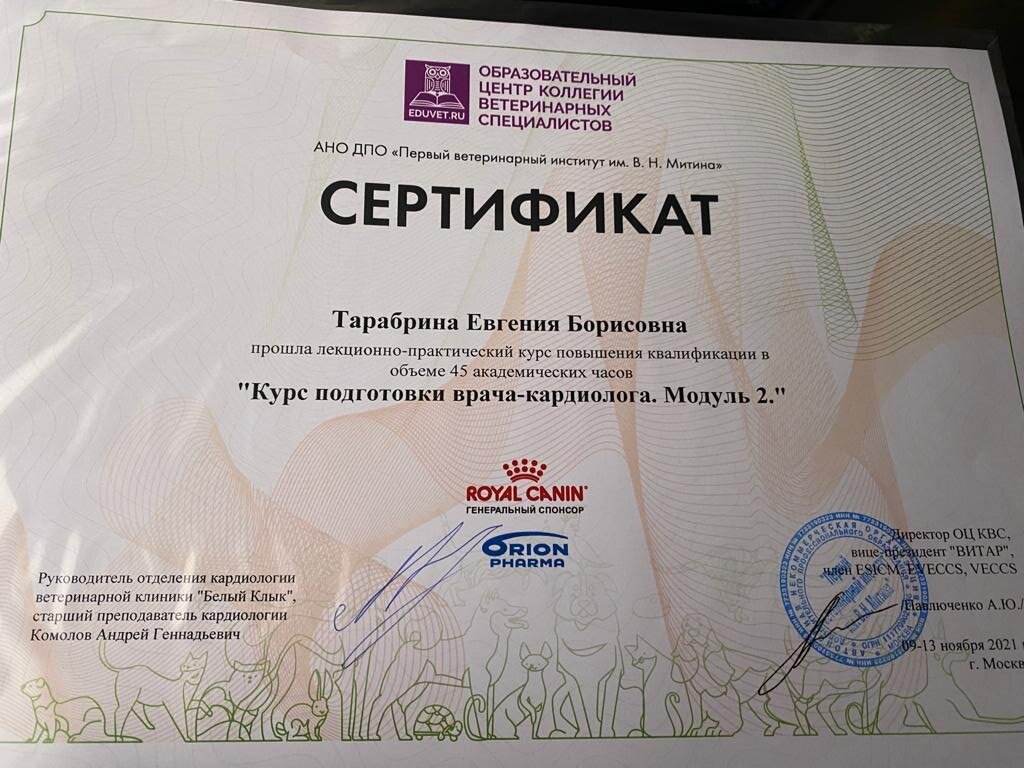 Документ или сертификат