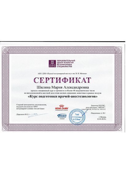 Документ или сертификат