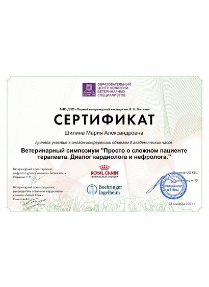 Документ или сертификат