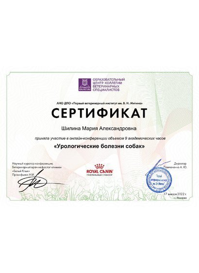 Документ или сертификат