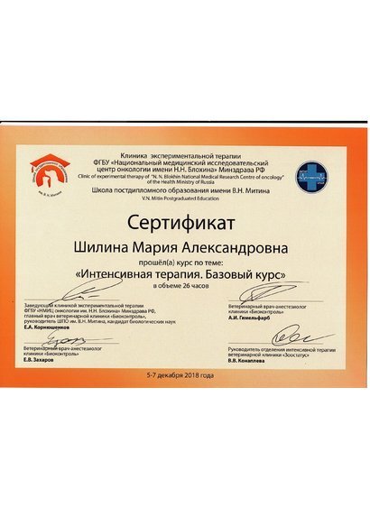 Документ или сертификат