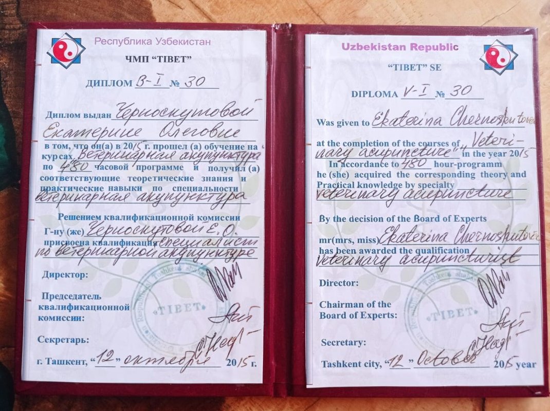 Документ или сертификат