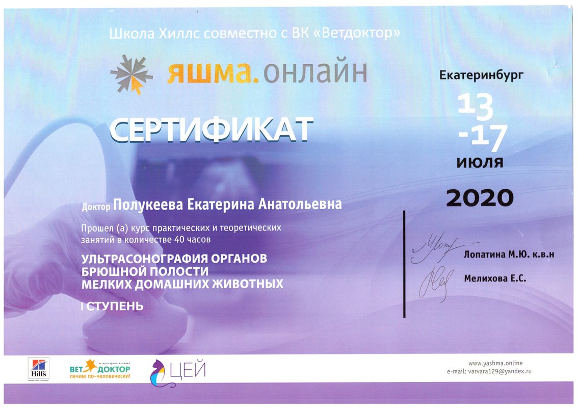 Документ или сертификат