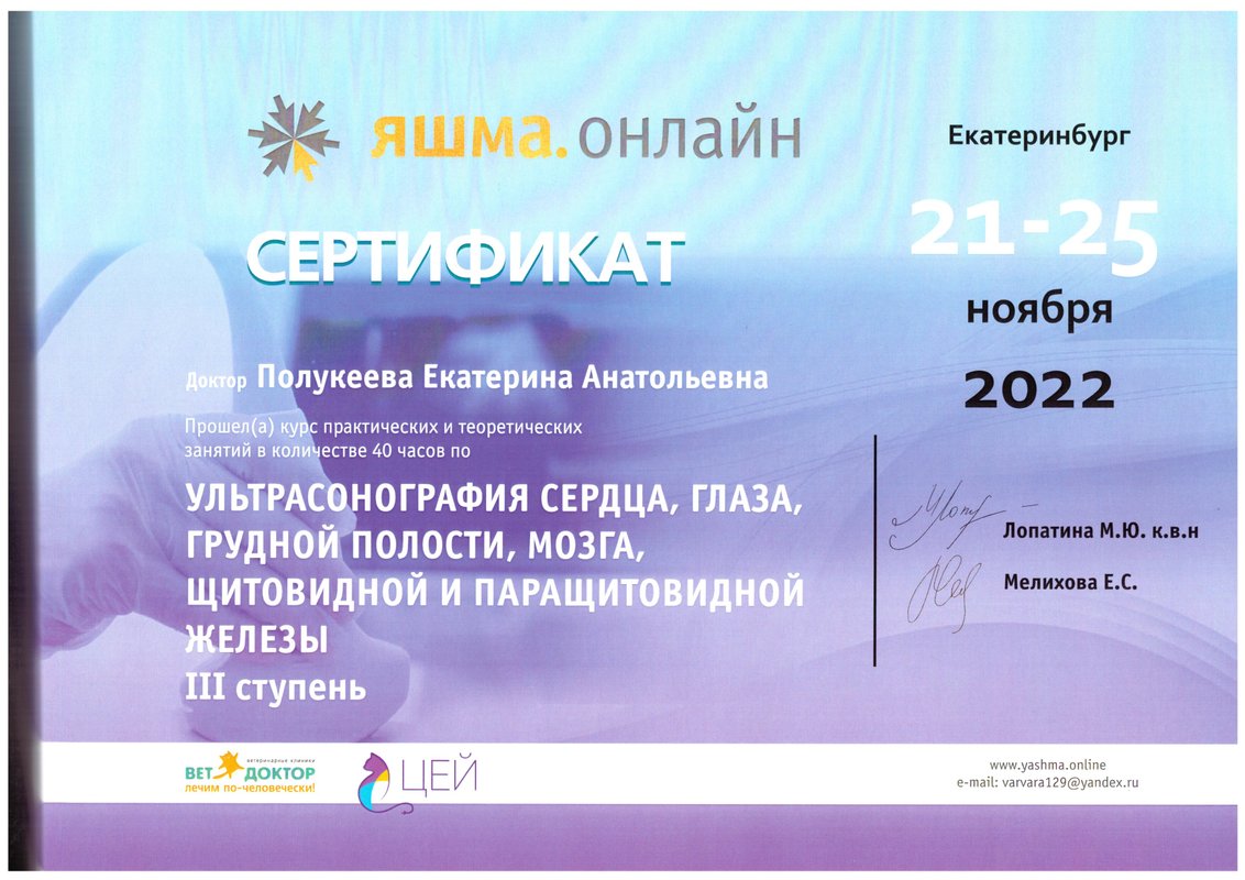 Документ или сертификат