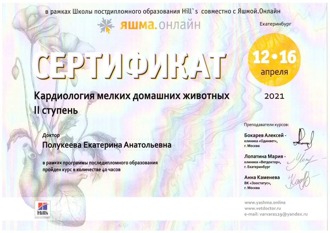 Документ или сертификат