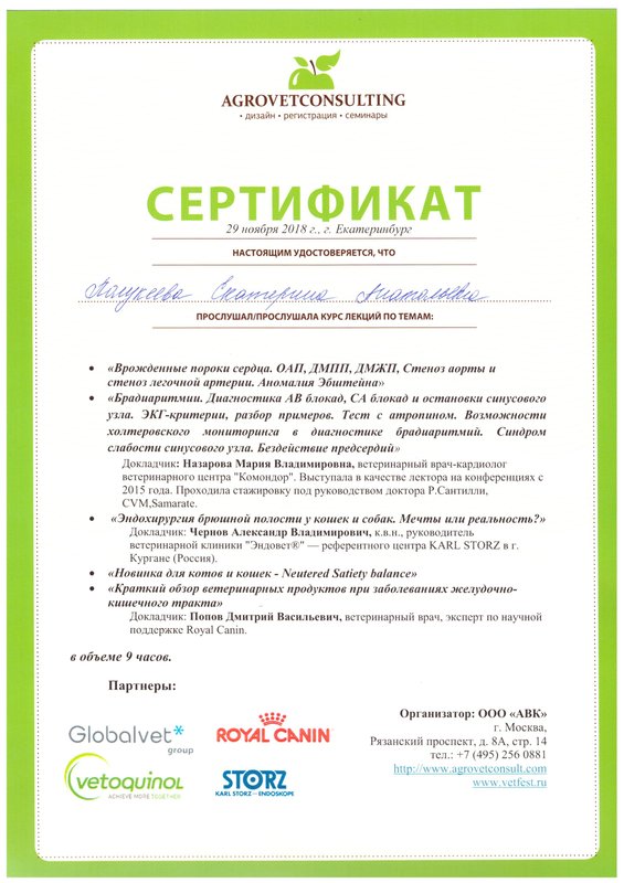 Документ или сертификат
