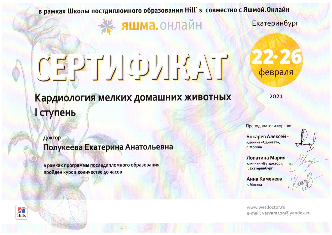 Документ или сертификат