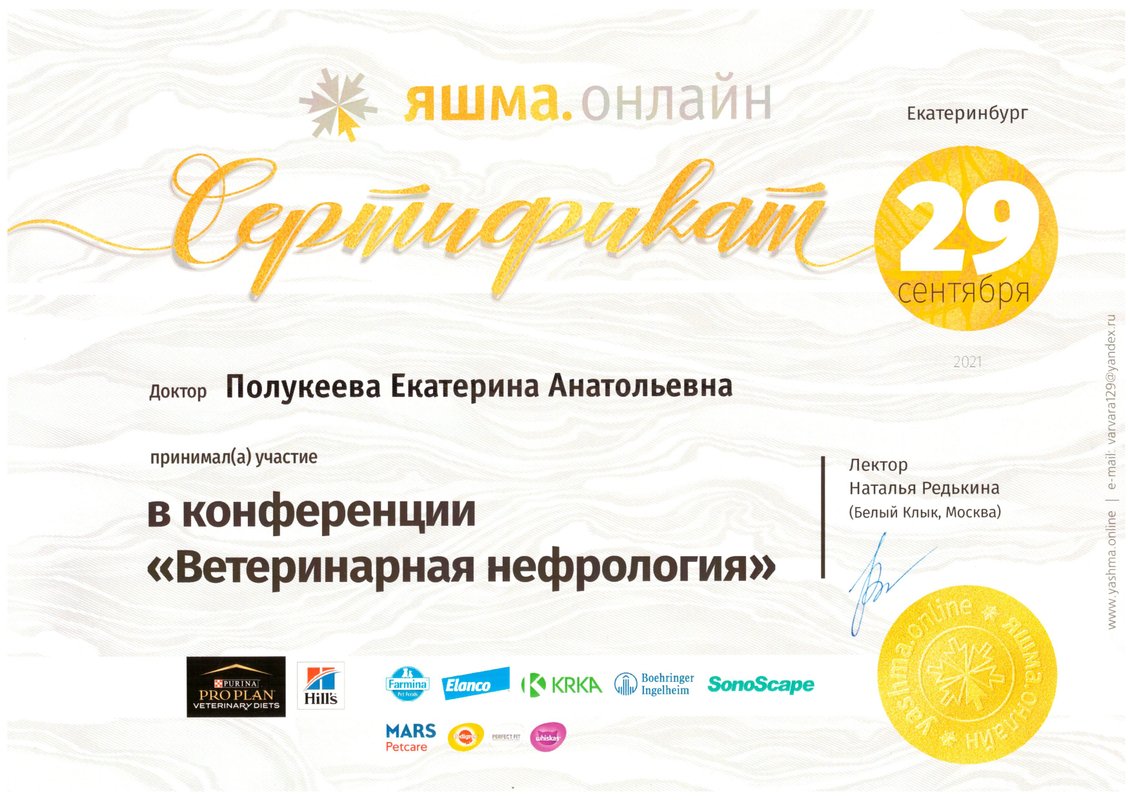 Документ или сертификат