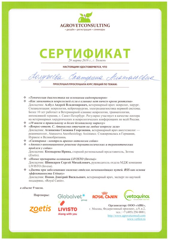 Документ или сертификат