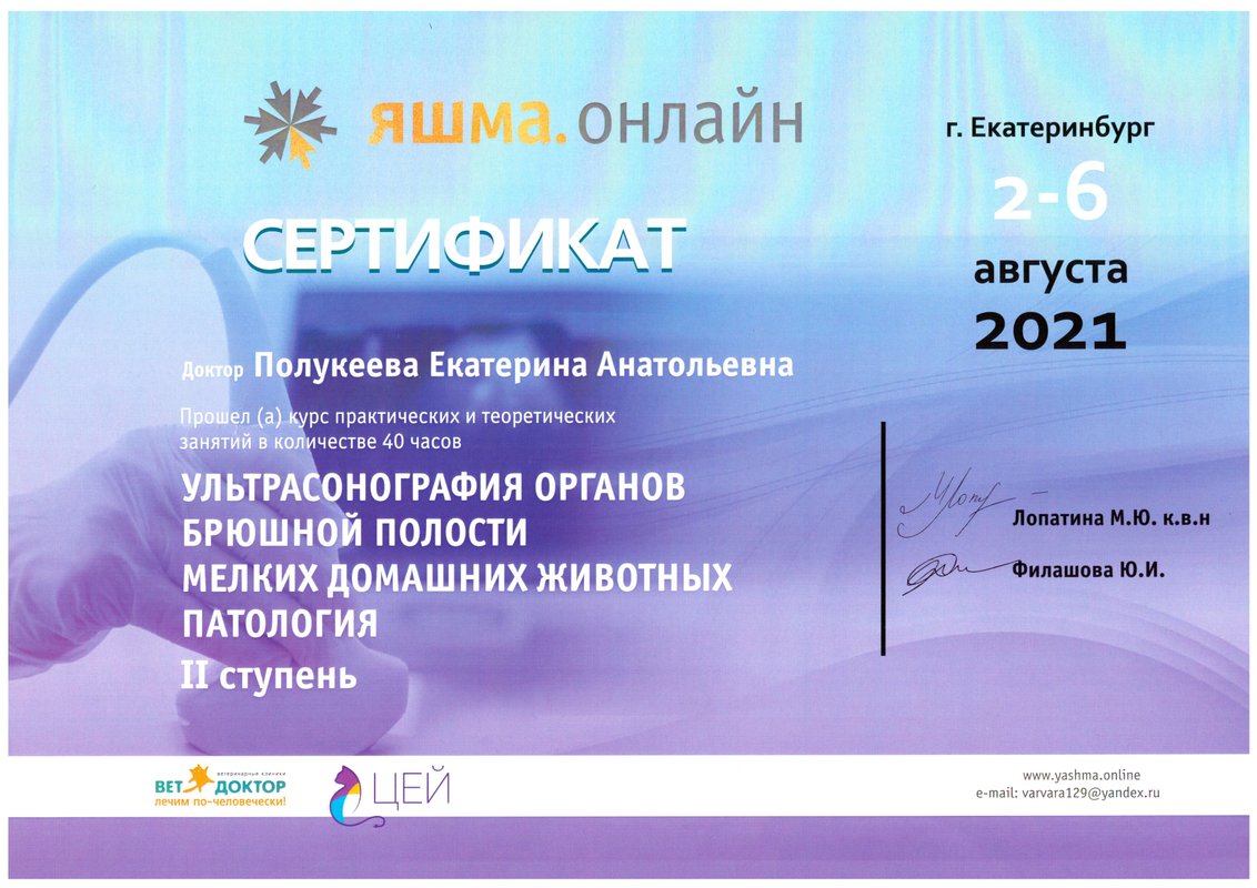 Документ или сертификат