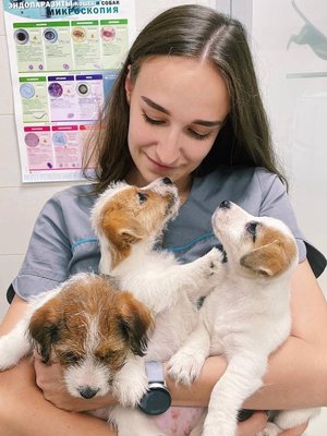 Фото врача Сабина Шаботич