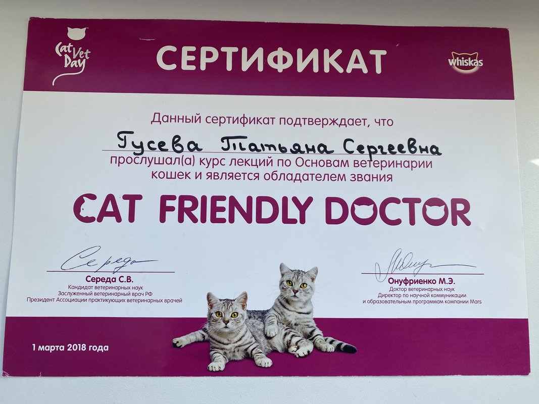 Документ или сертификат