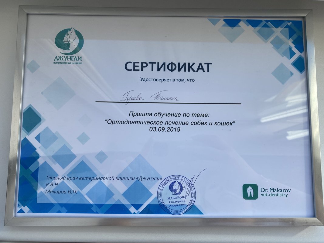 Документ или сертификат
