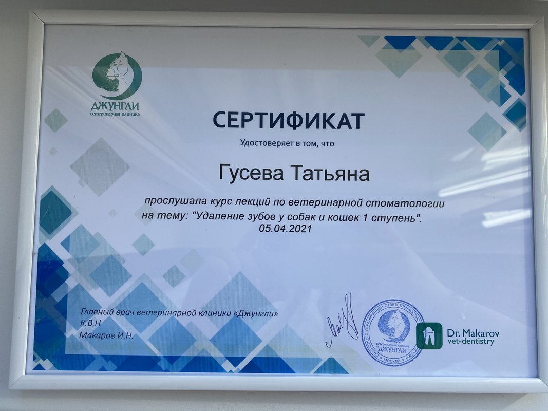 Документ или сертификат