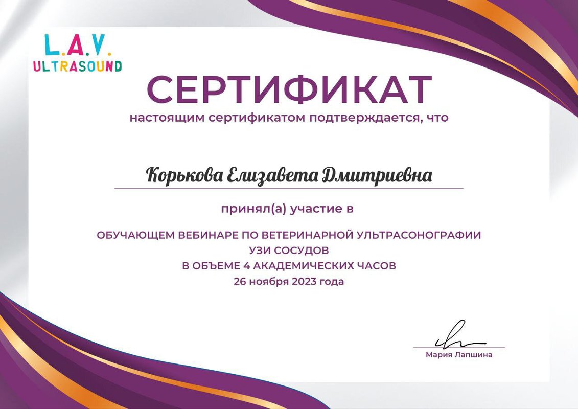 Документ или сертификат