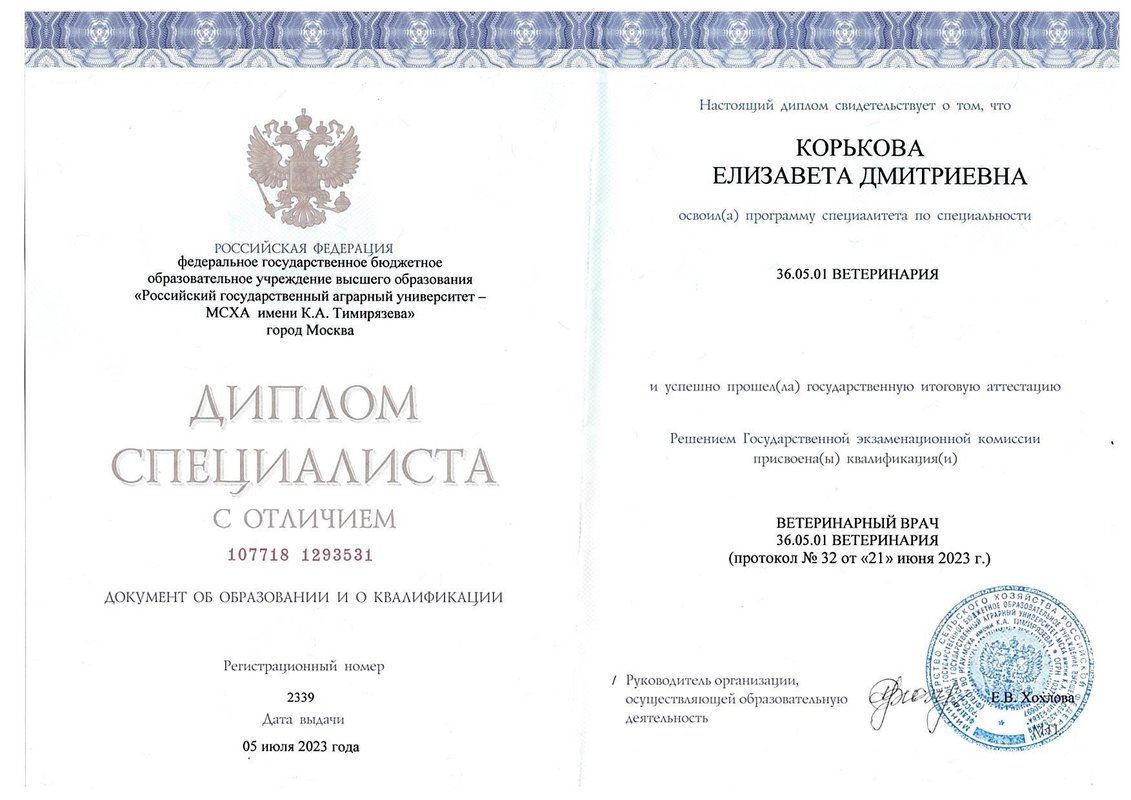 Документ или сертификат
