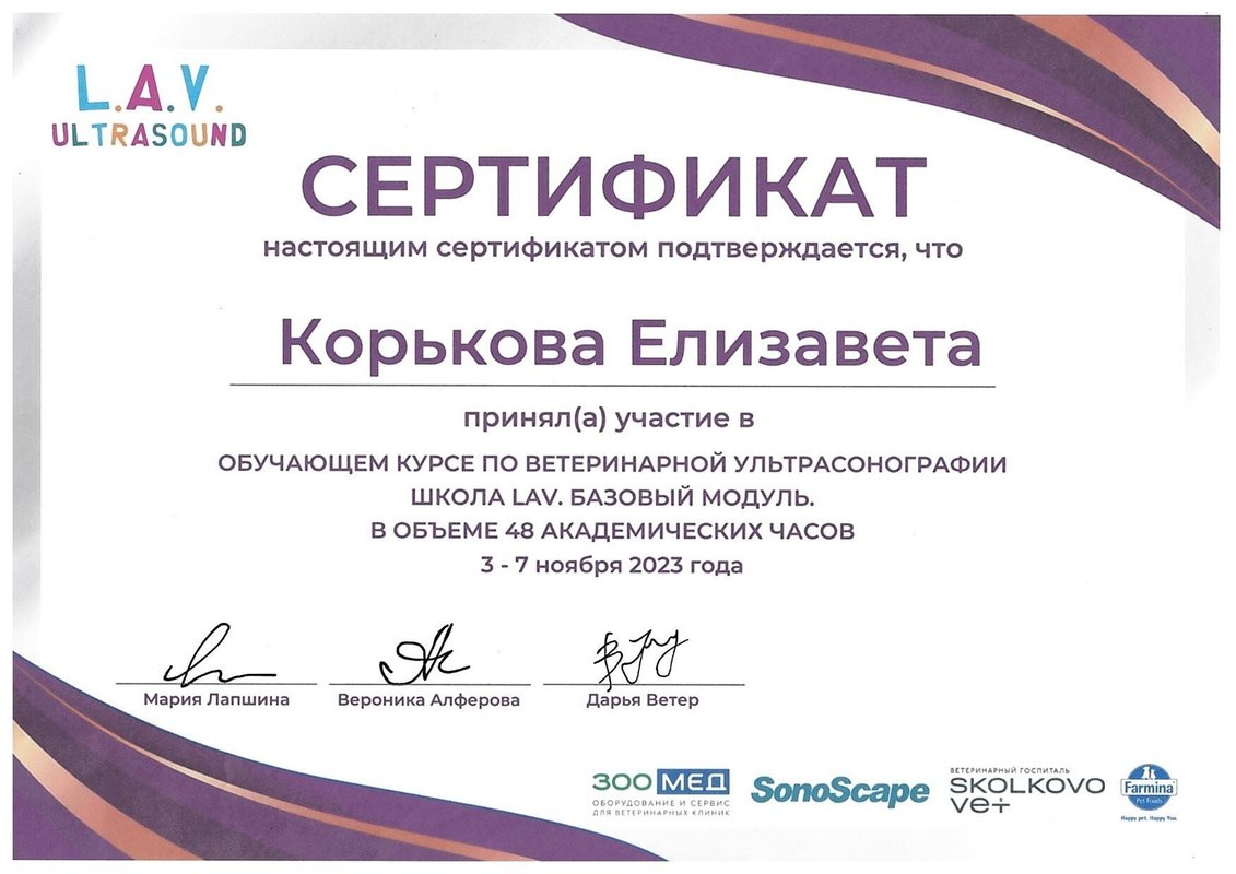 Документ или сертификат