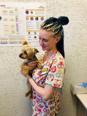 Фото врача Молодцова Дарья Александровна