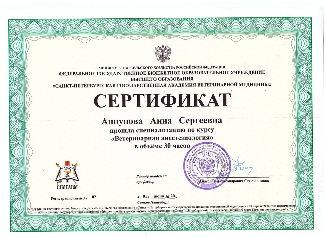 Документ или сертификат