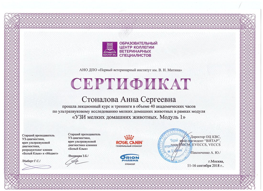 Документ или сертификат