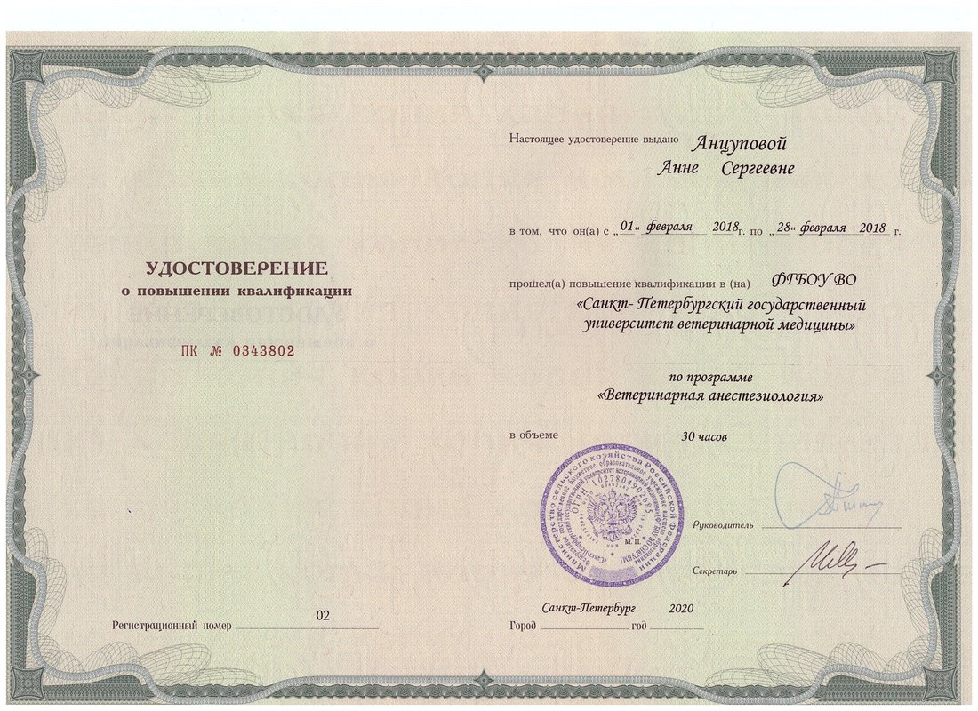 Документ или сертификат