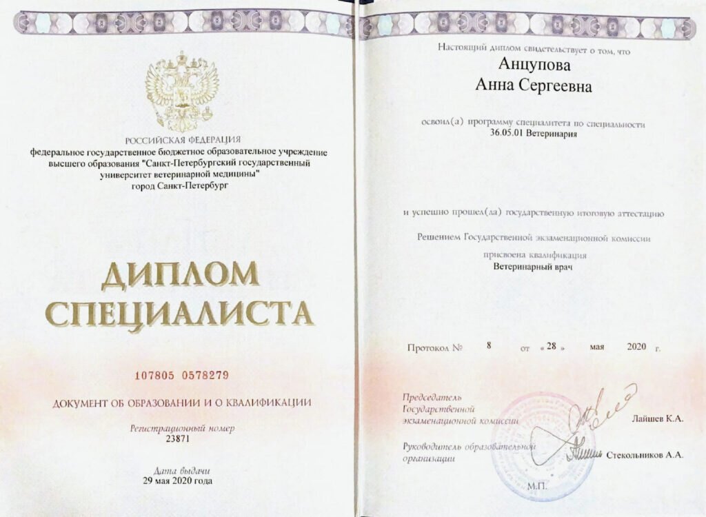 Документ или сертификат