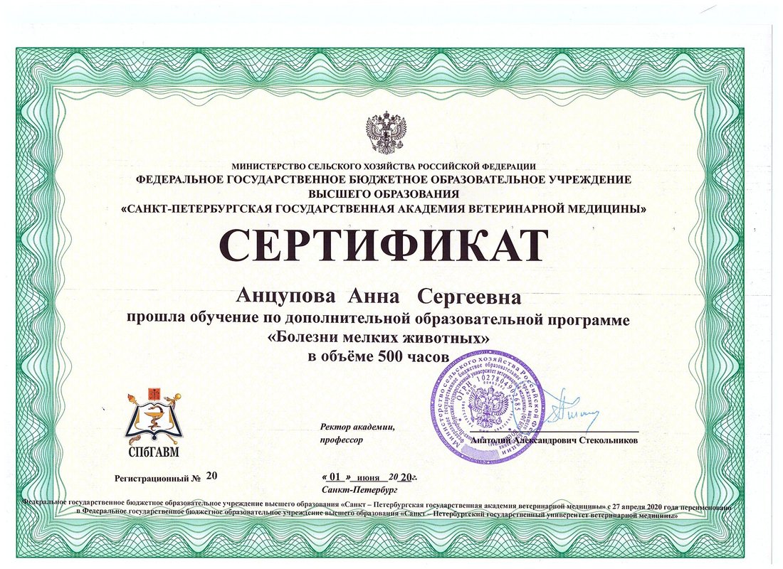 Документ или сертификат
