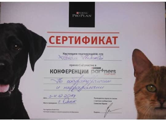 Документ или сертификат