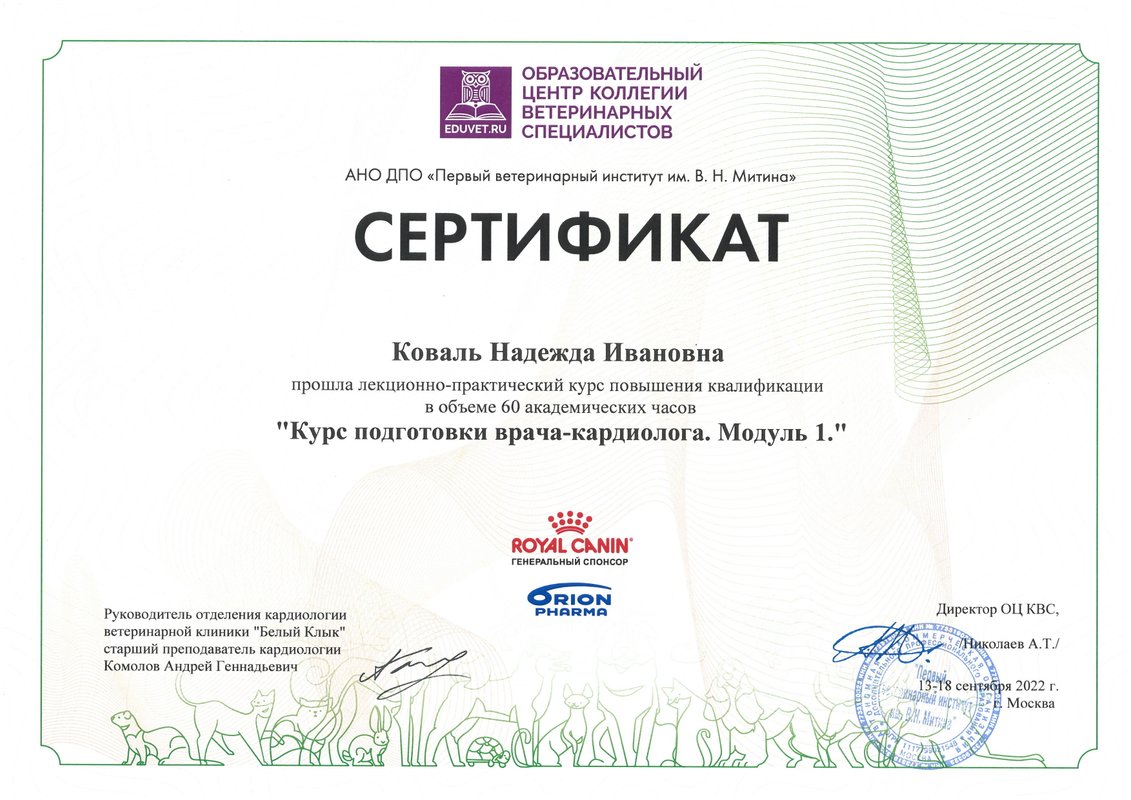 Документ или сертификат