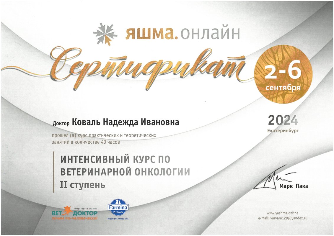 Документ или сертификат