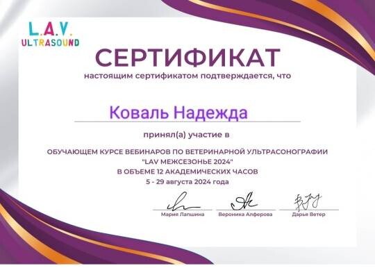 Документ или сертификат
